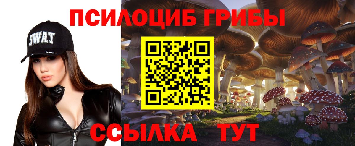 Псилоцибиновые грибы GOLDEN TEACHER Набережные Челны