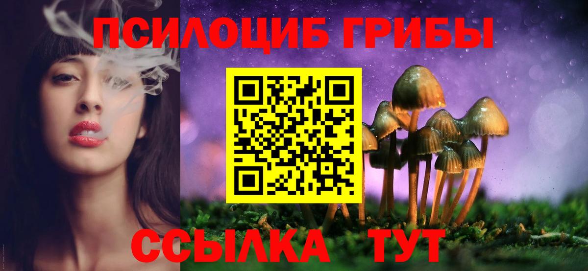 Набережные Челны  Псилоцибиновые грибы Magic Shrooms  Вход с VPN 